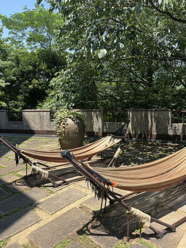神戶布引香草園：七月的花香之旅 🌸🌞