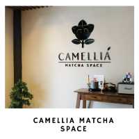 🍵 พื้นที่สายมัทฉะห้ามพลาด: Camellia Matcha Space