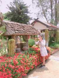 วัดหนองบัว ป่าคา อ.ท่าวังผา จ.น่าน