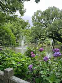 🌿由布院 + 太宰府一日浪漫遊｜夢幻金鱗湖＋文化滿載太宰府天滿宮✨