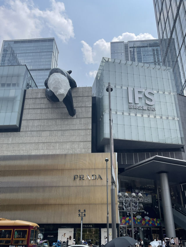 Chengdu in 72 Hours — Chill Vibes & Spicy Bites 🐼🌶️