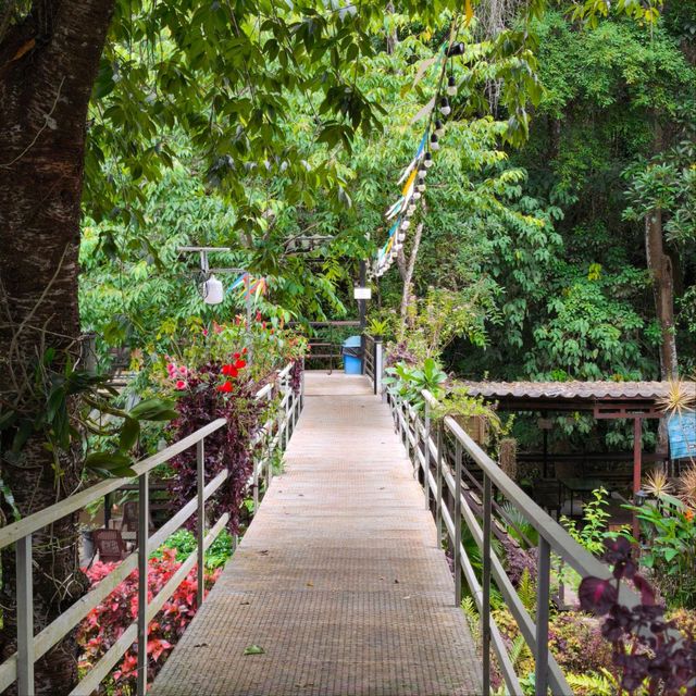 🌿 ปางไฮคอฟฟี่ช็อป (PangHai Coffee Shop) 🌿