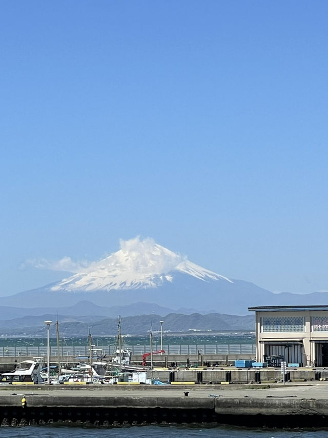 🌊 Kamakura Day Trip: Seaside Shrines, Sand & Sunsets 🏖️⛩️