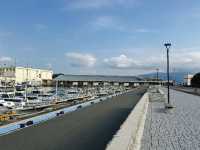 Numazu Port: Catching the Fish Market After Hours! 🐟☀️
