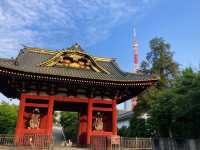 東京 増上寺 🏯🌸