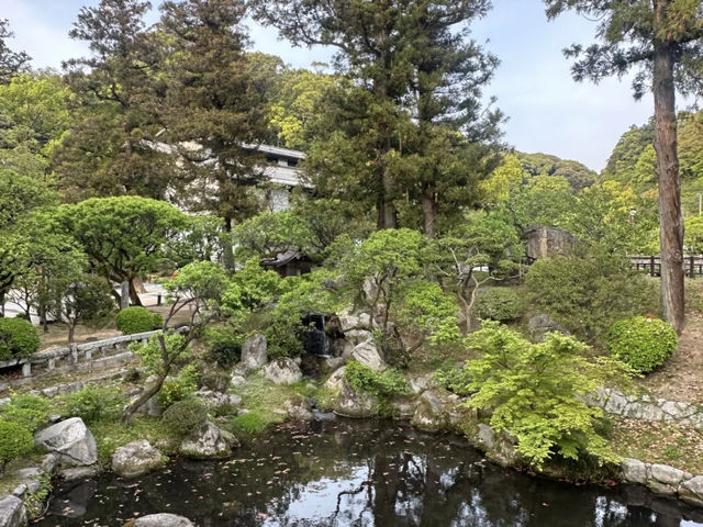 Evening Stroll at Dazaifu Tenmangu: A Peaceful Visit! ⛩️🌸