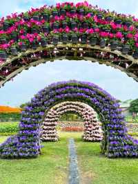 A Colorful Day at Zhongshe Flower Farm, Taichung