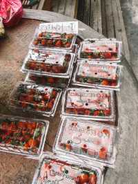Strawberries, Souvenirs & Highland Vibes at Kea Farm 🍓