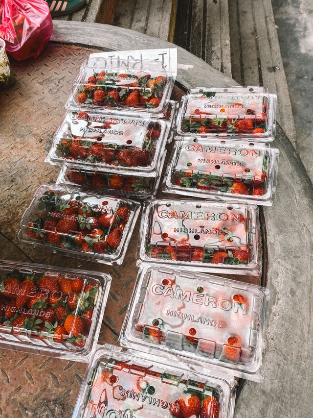 Strawberries, Souvenirs & Highland Vibes at Kea Farm 🍓