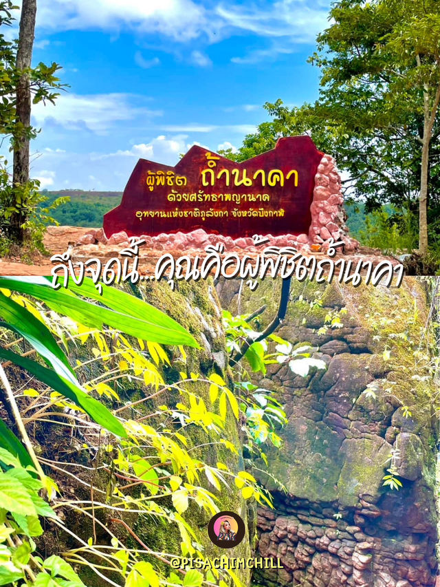 พาไปถ้ำนาคา มหัศจรรย์แห่งศรัทธา