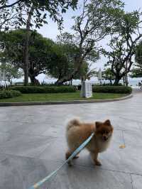 ที่พักระยองติดหาดเดินลงไปเล่นได้ + pet friendly 🐶