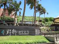 🪨 時間雕刻的藝術品｜野柳地質公園 🌊