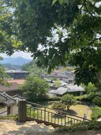 연못 위에 머문 고요함, 함양 무진정 산책기
