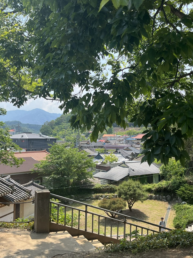 연못 위에 머문 고요함, 함양 무진정 산책기