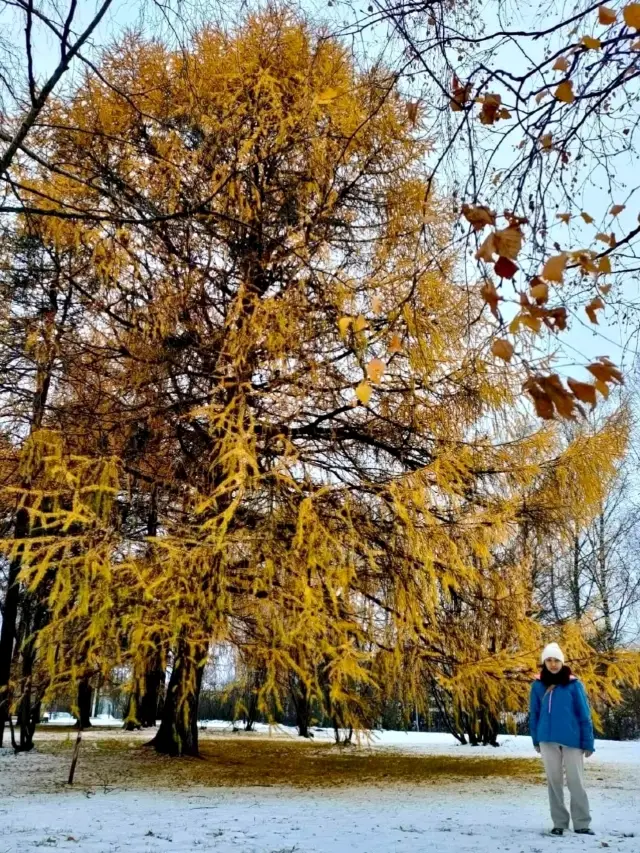 Helsinki one day trip,easy and happy