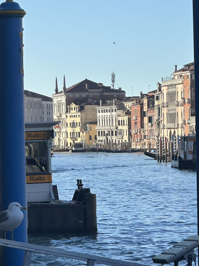 Rialto: Where Venice’s Soul Crosses The Grand Canal