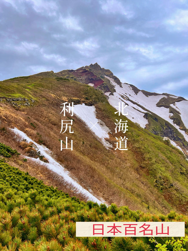 【北海道利尻島】北の最果て利尻山⛰️