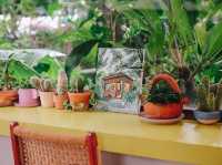 คาเฟ่นนทบุรีสุดกรีน