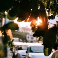 Travelling Back In Time: 2D1N Ipoh Trip