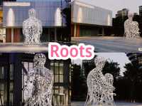 Roots
