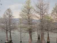 One fine day at Erhai lake in Dali!