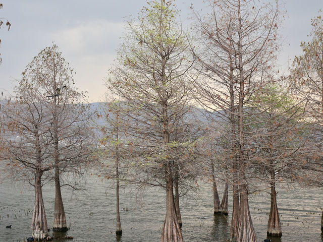 One fine day at Erhai lake in Dali!