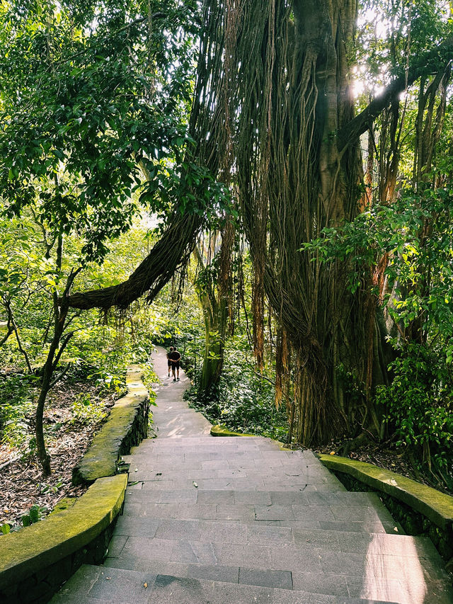 Guardians of the Forest: Ubud Monkey Forest’s Sacred Heart