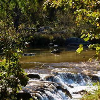 Blue River – Tishomingo, OK