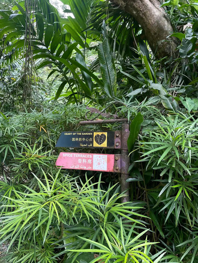 Spice Trails: A Journey Through Penang’s Botanical Wonderland