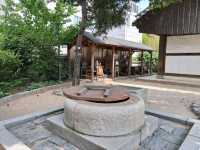 Namsangol Hanok Village: Seoul’s Cultural Hideaway Among the Hills