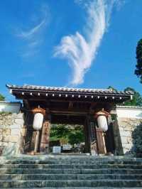 京都必去景點（八） 三千院🌳禪意之美