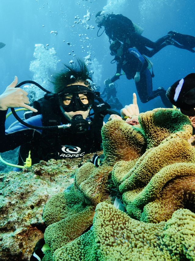 綠島的日出日落