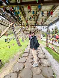 來去有風的地方｜雲南～「香格里拉～普達措國家公園」