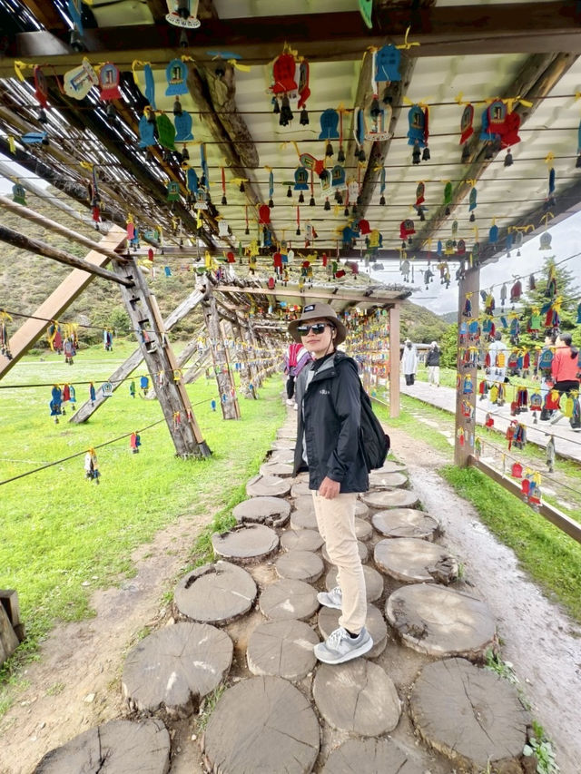 來去有風的地方｜雲南～「香格里拉～普達措國家公園」