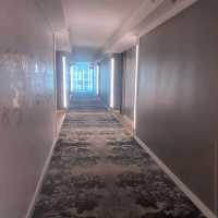 C. Baldwin, Curio Collection by Hilton