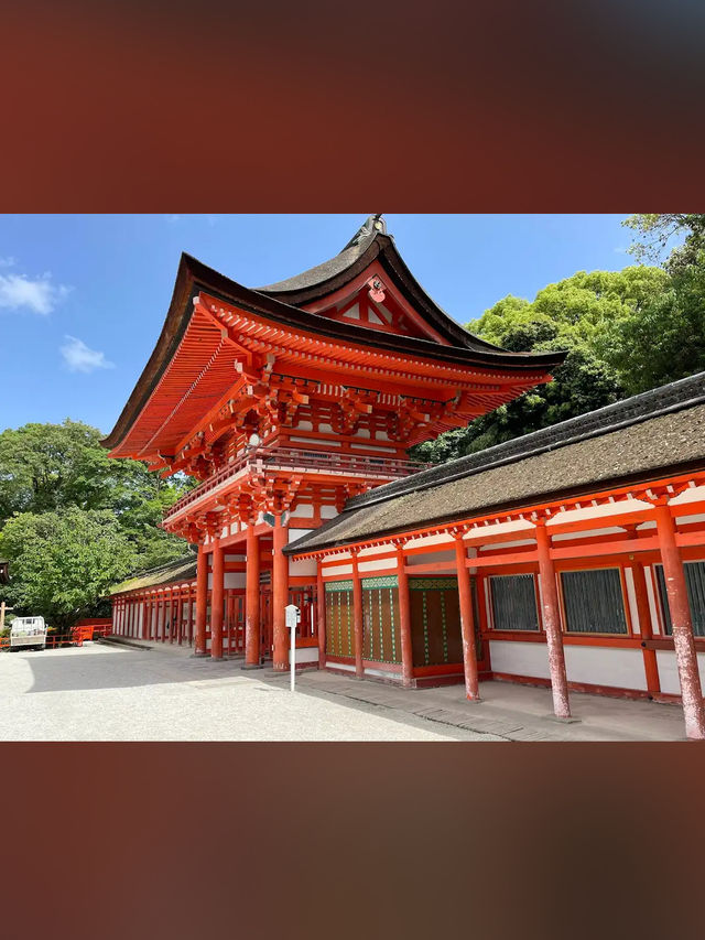 【下鴨神社】森と水に包まれる聖地🌿みたらし団子の発祥地で心清める旅