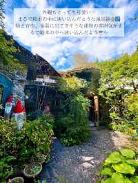 🫧都会の喧騒を忘れたい人必見！秘密の美術館&カフェ in あきる野市🫧