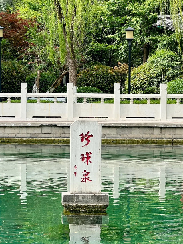 Zhenzhu Spring 🍃 