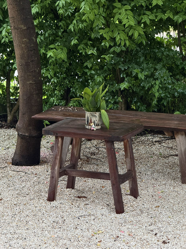 รีวิว สมถํ: คาเฟ่สไตล์สวนญี่ปุ่นที่กระบี่