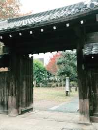 【東京　駒込　神社と公園、庭園めぐり】