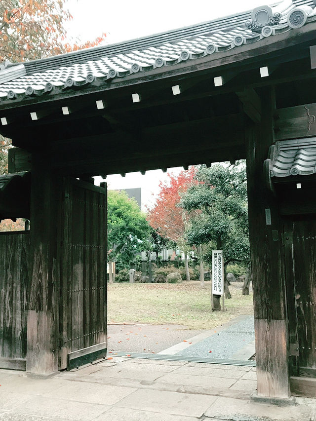 【東京　駒込　神社と公園、庭園めぐり】