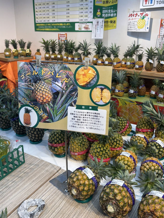 【沖縄県・宮古島】宮古島でお土産買うならここ🛍️