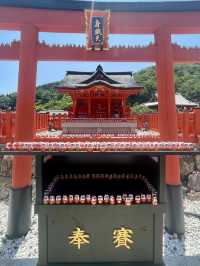 Unveiling the Daruma Temple in Osaka 