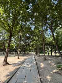 서울숲의 숲길들