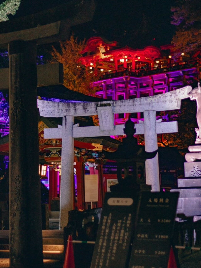 【祐徳稲荷神社】豪華絢爛な社殿と願いが届く神の地⛩️✨