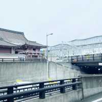 🌸 Strolling Through Shichijo Bridge Under Wisteria Skies