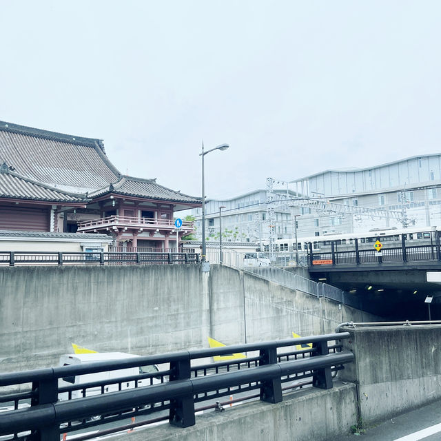 🌸 Strolling Through Shichijo Bridge Under Wisteria Skies