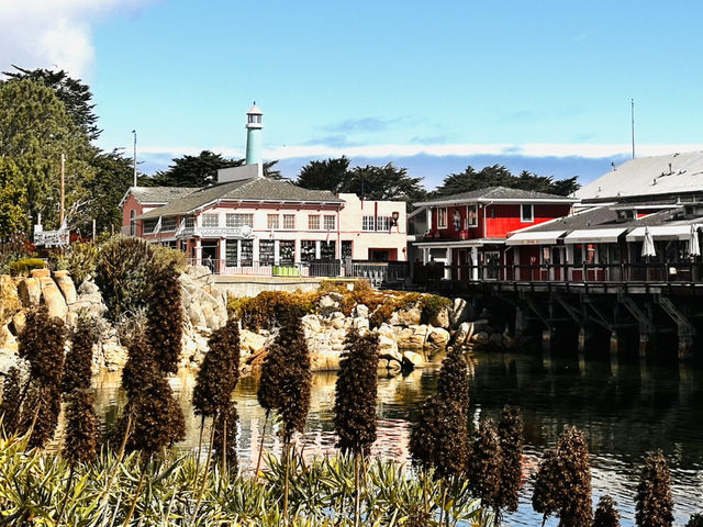 Stunning 17 Miles between Monterey and Carmel