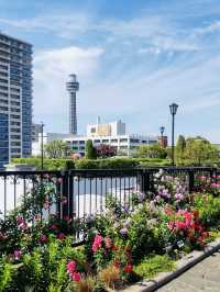 America Yama Park, a peaceful urban oasis located just above Motomachi-Chukagai Station