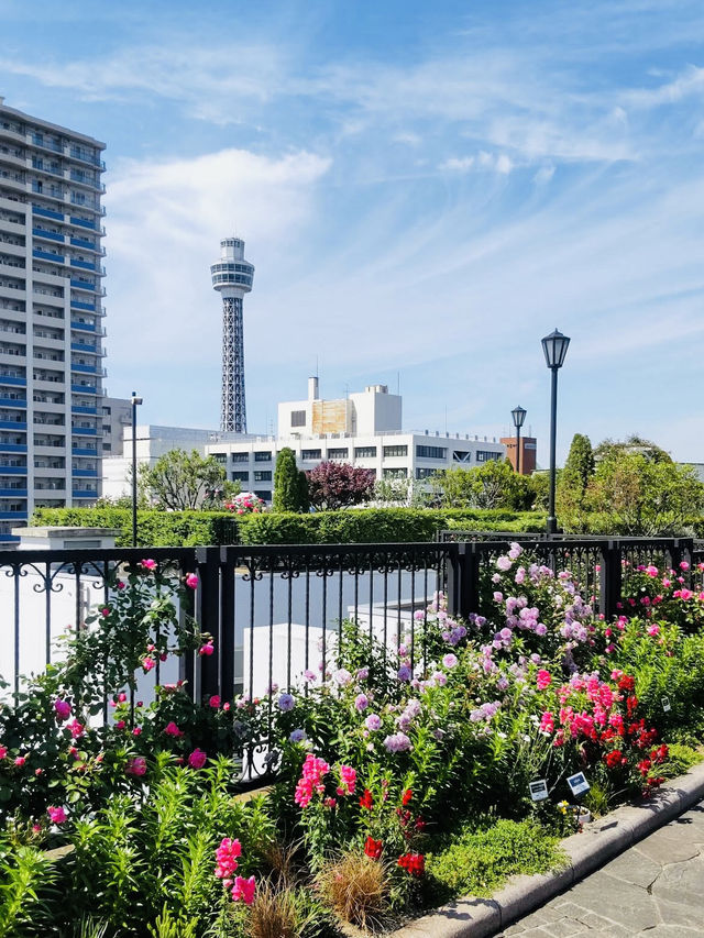 America Yama Park, a peaceful urban oasis located just above Motomachi-Chukagai Station
